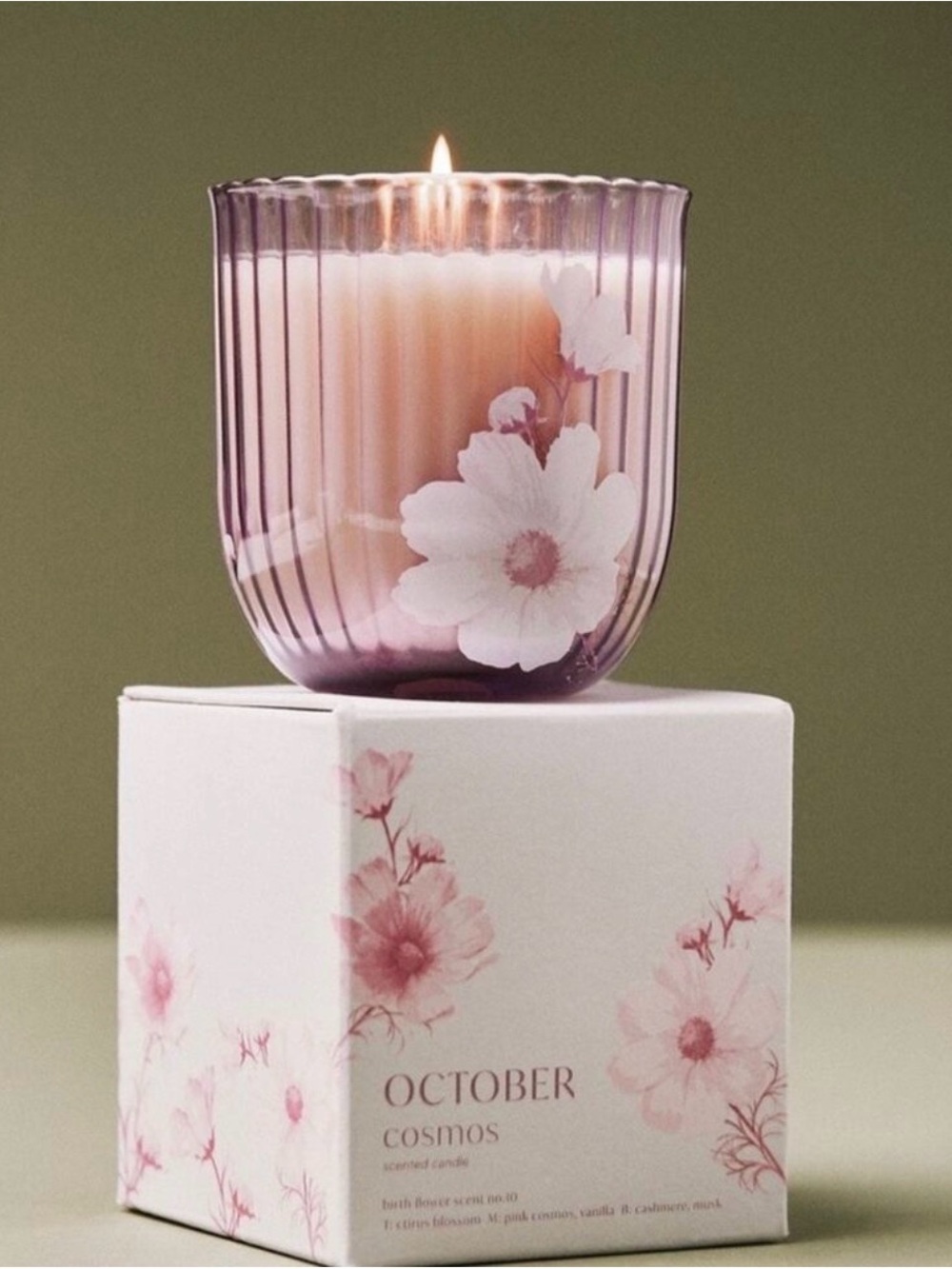 New! Anthropologie Birth Month Flower Boxed Candle - October Cosmos